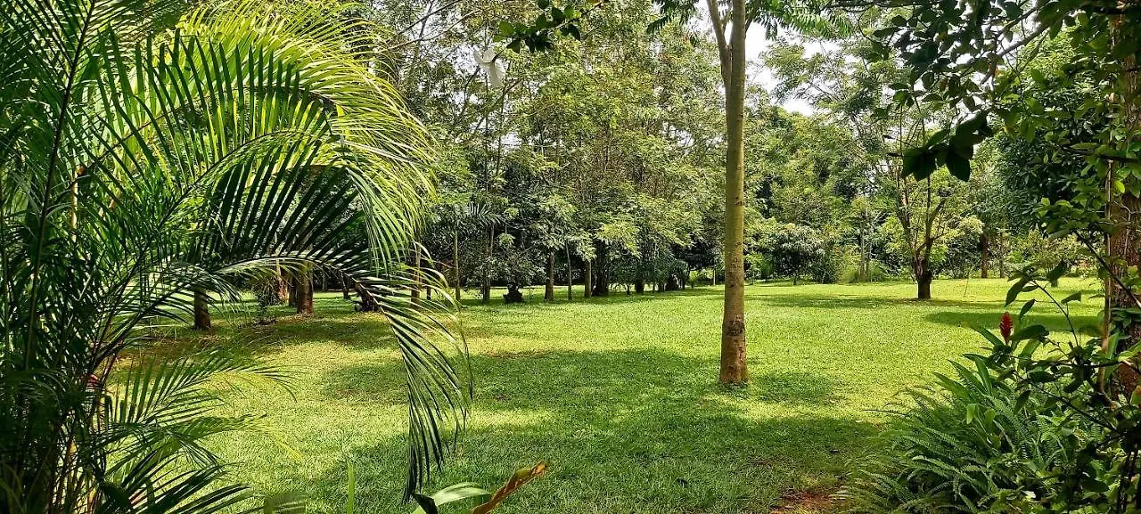 Guest house Tusubira Village Jinja Uganda